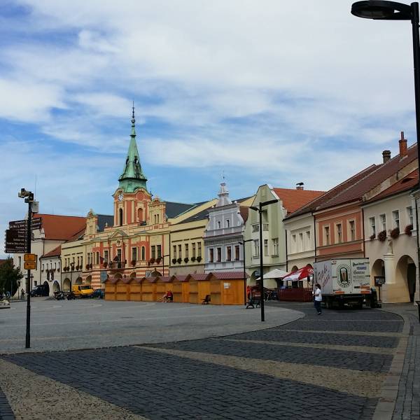 Город Мельник