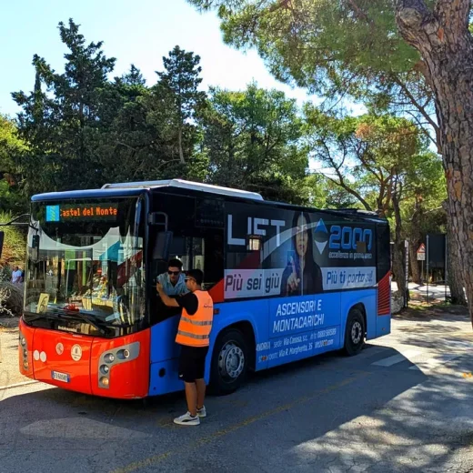 Автобус Андрия - Замок Дель-Монте