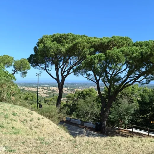 Из истории замка Дель-Монте