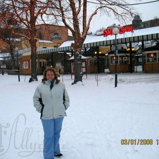 2008.01.03-4 Скансен на острове Дьюргорден в Стокгольме, Швеция.